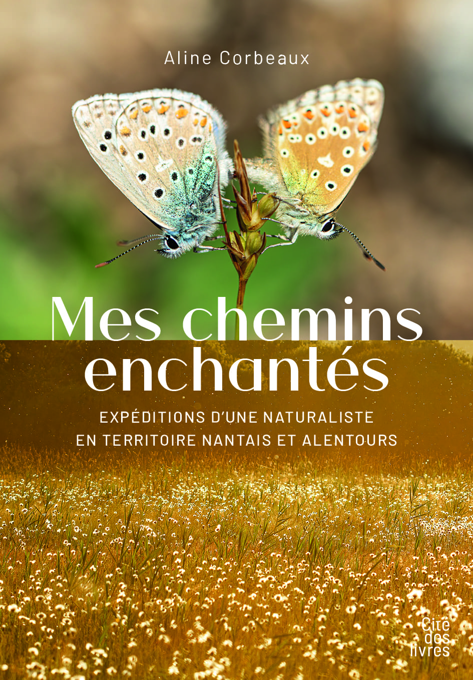 Mes chemins enchantés