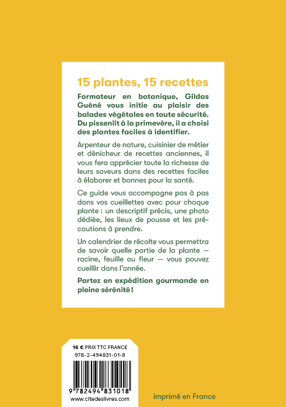 15 plantes sauvages comestibles