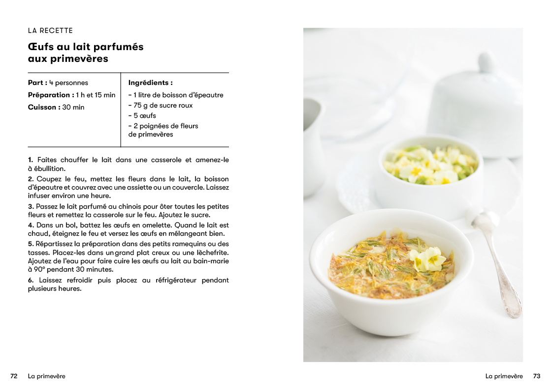 15 plantes sauvages comestibles