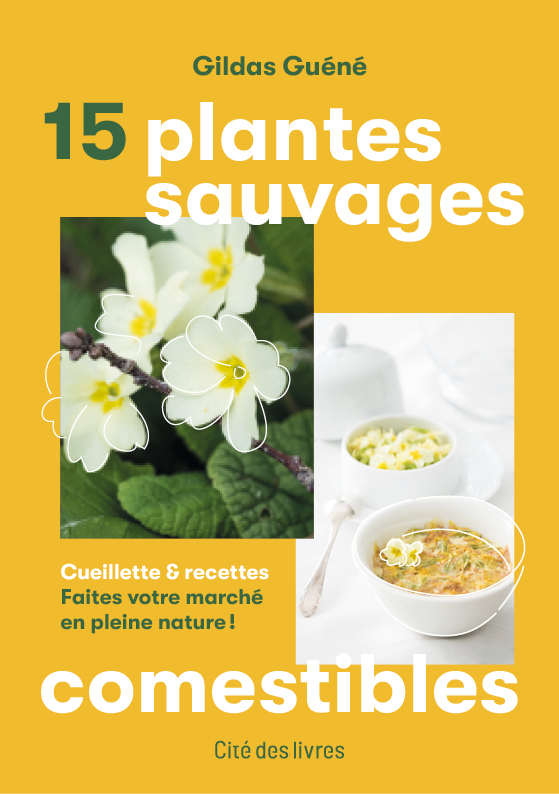 15 plantes sauvages comestibles